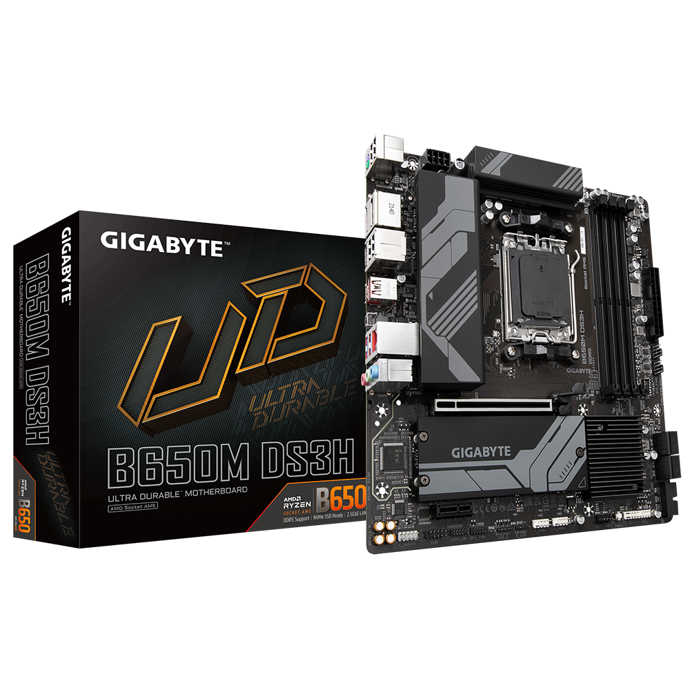 GIGABYTE B650M DS3H